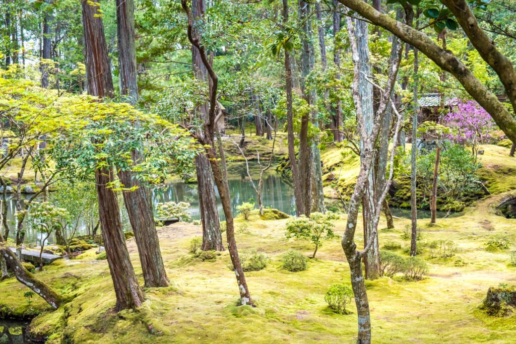 ⛩️ 히미코 신사 (키리시마시 하야토 히미코 진자) 이미지 7
